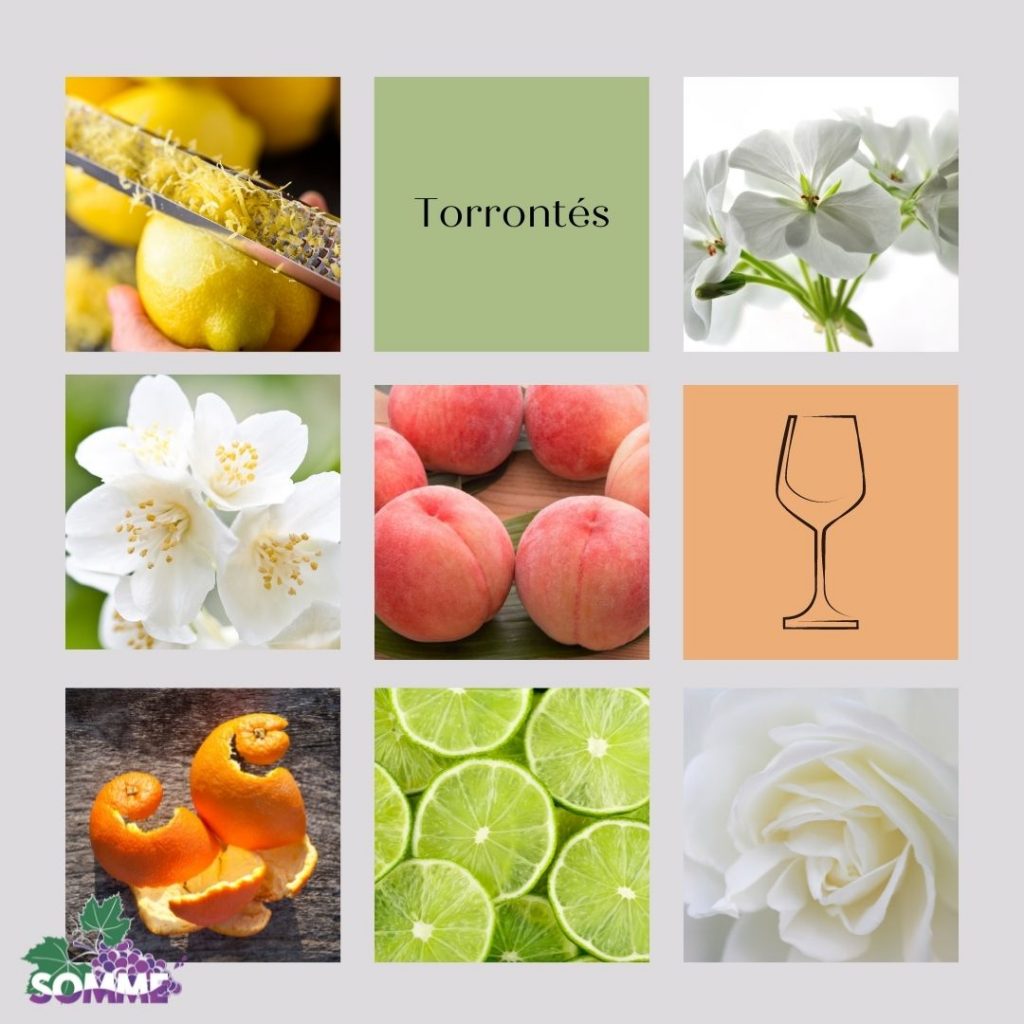 Variedades aromáticas del vino