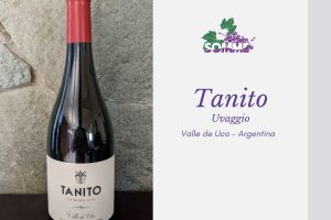 Tanito Uvaggio 2019 Bira wines