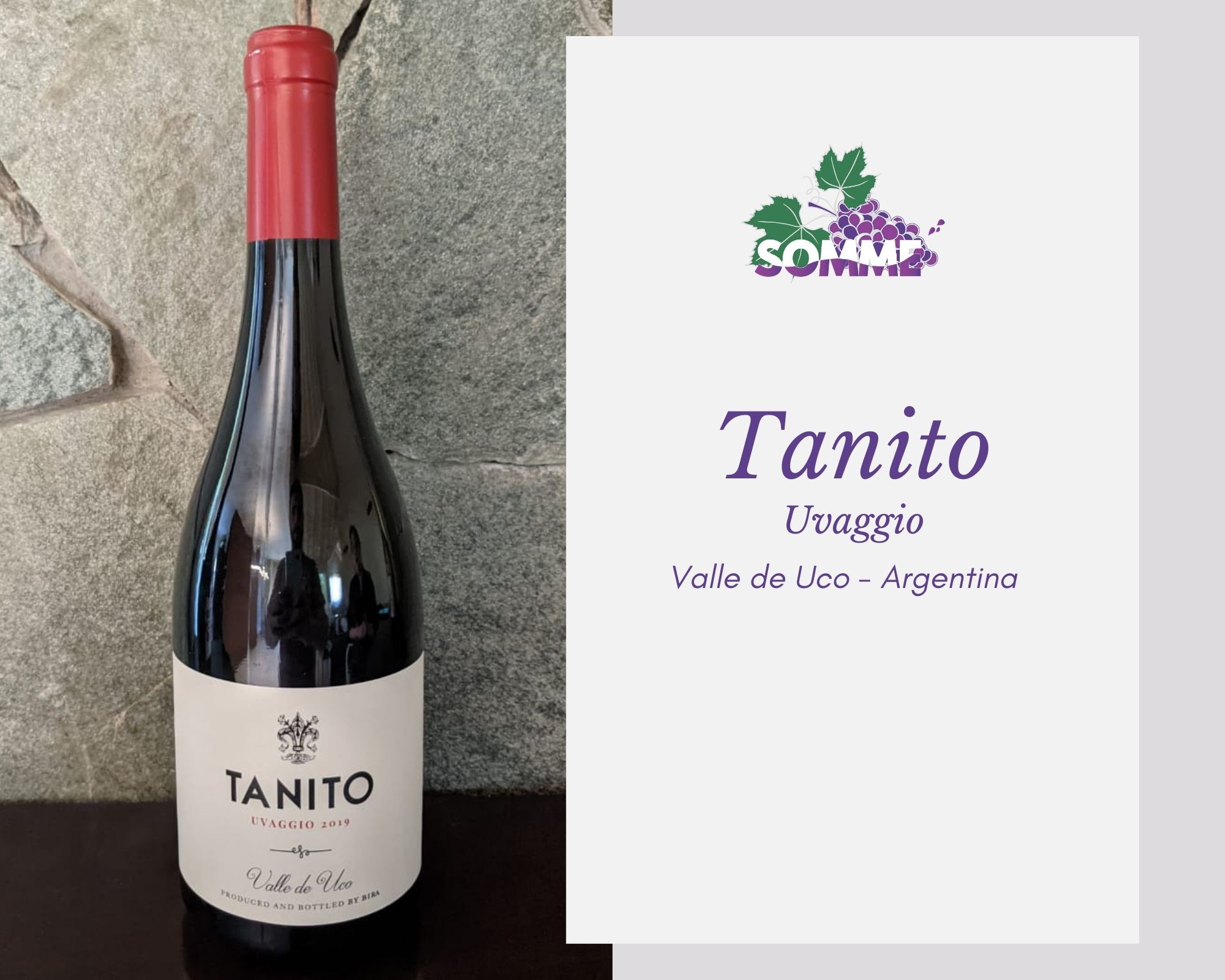 Tanito Uvaggio 2019 Bira wines